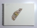 p1030656-oyster-study