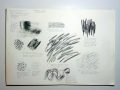 ex1-p4-charcoal