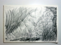 ex2-p3-doodling-charcoal-la