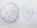 p1000737