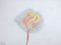 p1000716