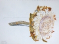 p1000719