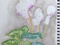 p1000726